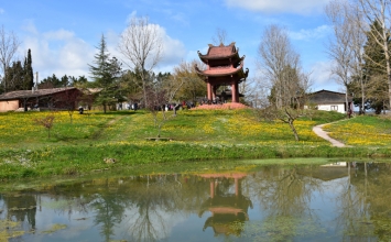 Không sinh, không diệt chỉ có sự chuyển hóa không ngừng